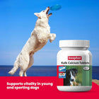 Beaphar Kalk (Calcium Supplement) Tablet for Dogs & Cats (Pack of 60 Tablets)