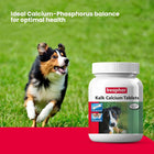 Beaphar Kalk (Calcium Supplement) Tablet for Dogs & Cats (Pack of 60 Tablets)