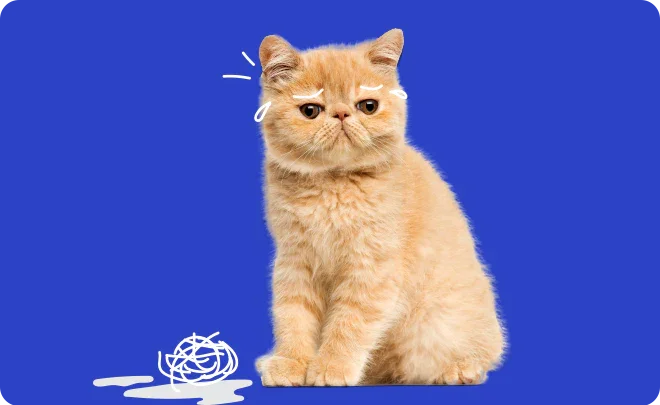 Hairball in Cat Issue