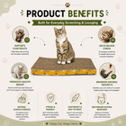 Catmos Kitty Slide Cat Scratcher