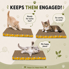 Catmos Kitty Slide Cat Scratcher