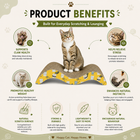 Catmos Purr Wave Cat Scratcher with Free Catnip