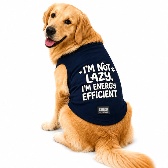Zigly Lifestyle Energy Efficient Dog T-Shirt - Navy