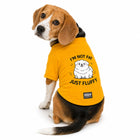 Zigly Lifestyle Fab & Fluffy Dog T-Shirt - Yellow