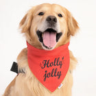 Golden retriever dog wearing a red zigly bandana with black 'Holly jolly' text