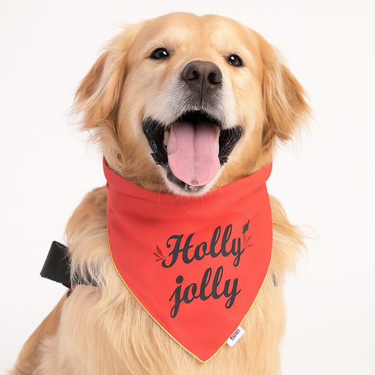 ZL Holly Jolly In Reddish Dog Bandana
