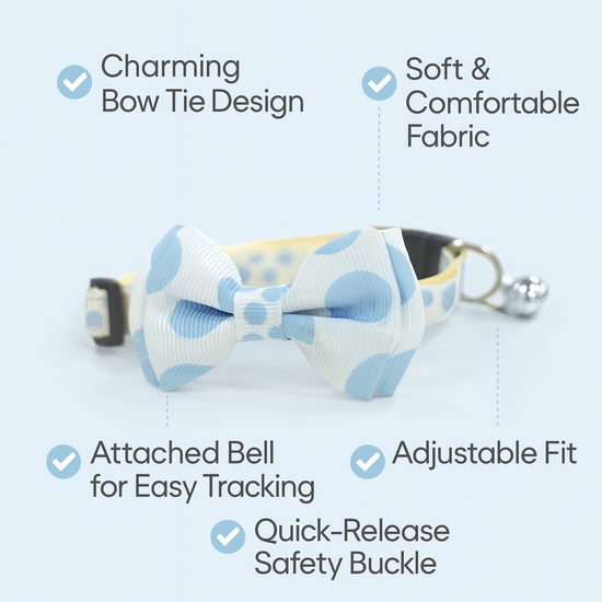ZL Blueberry Dot Bell & Bow Cat Collar