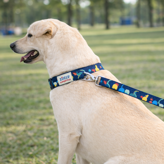 Zigly Lifestyle Tropical Tails Adjustable Dog Collar