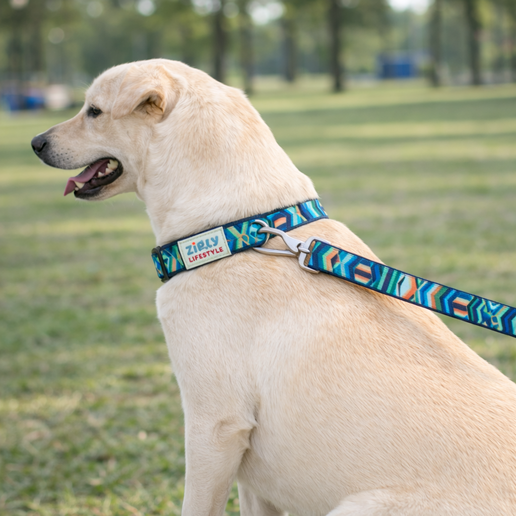 Zigly Lifestyle Tropical Tide Dog Leash