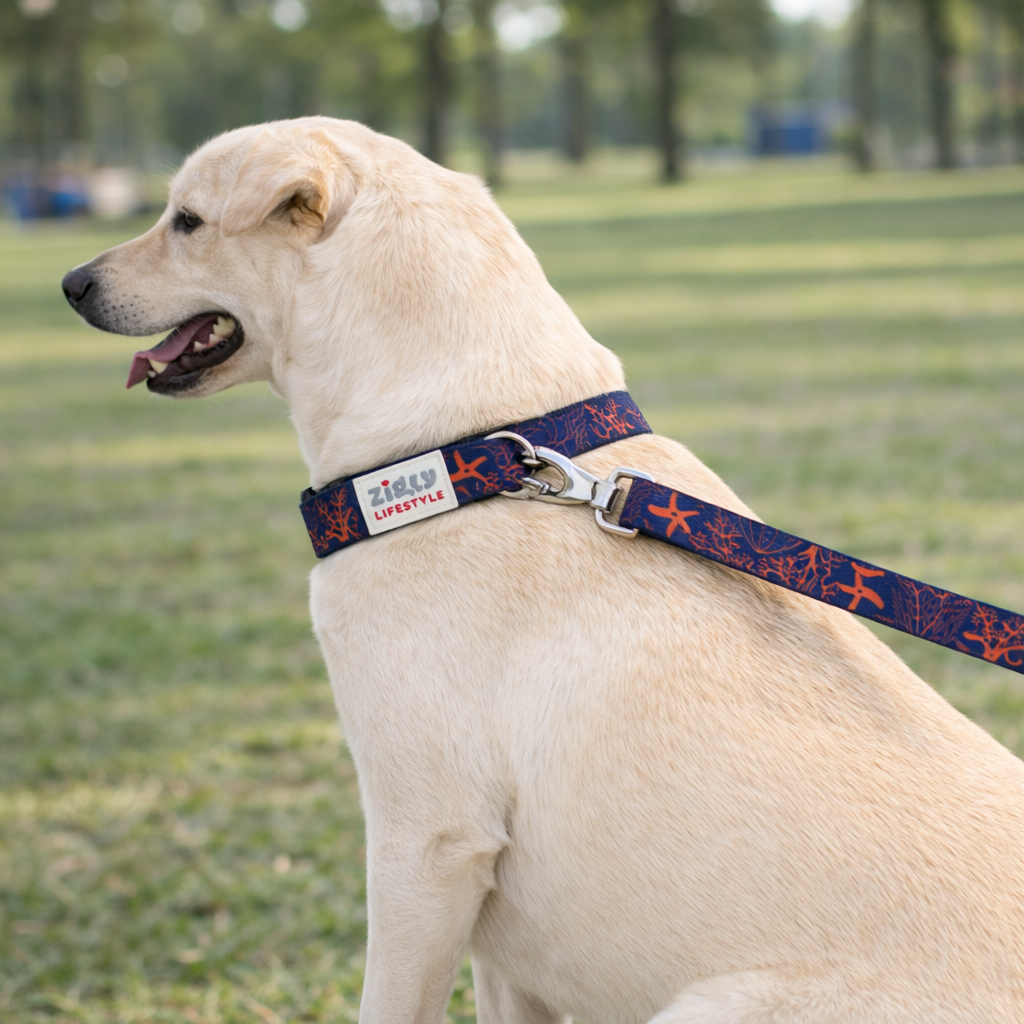 Zigly Lifestyle Tropical Blaze Adjustable Dog Collar