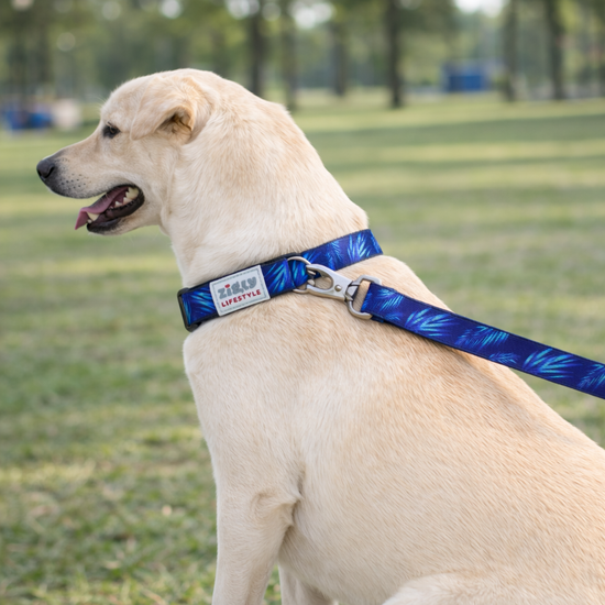 Zigly Lifestyle Tropical Drift Dog Leash