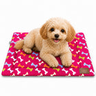 ZL Play Print Pet Mat