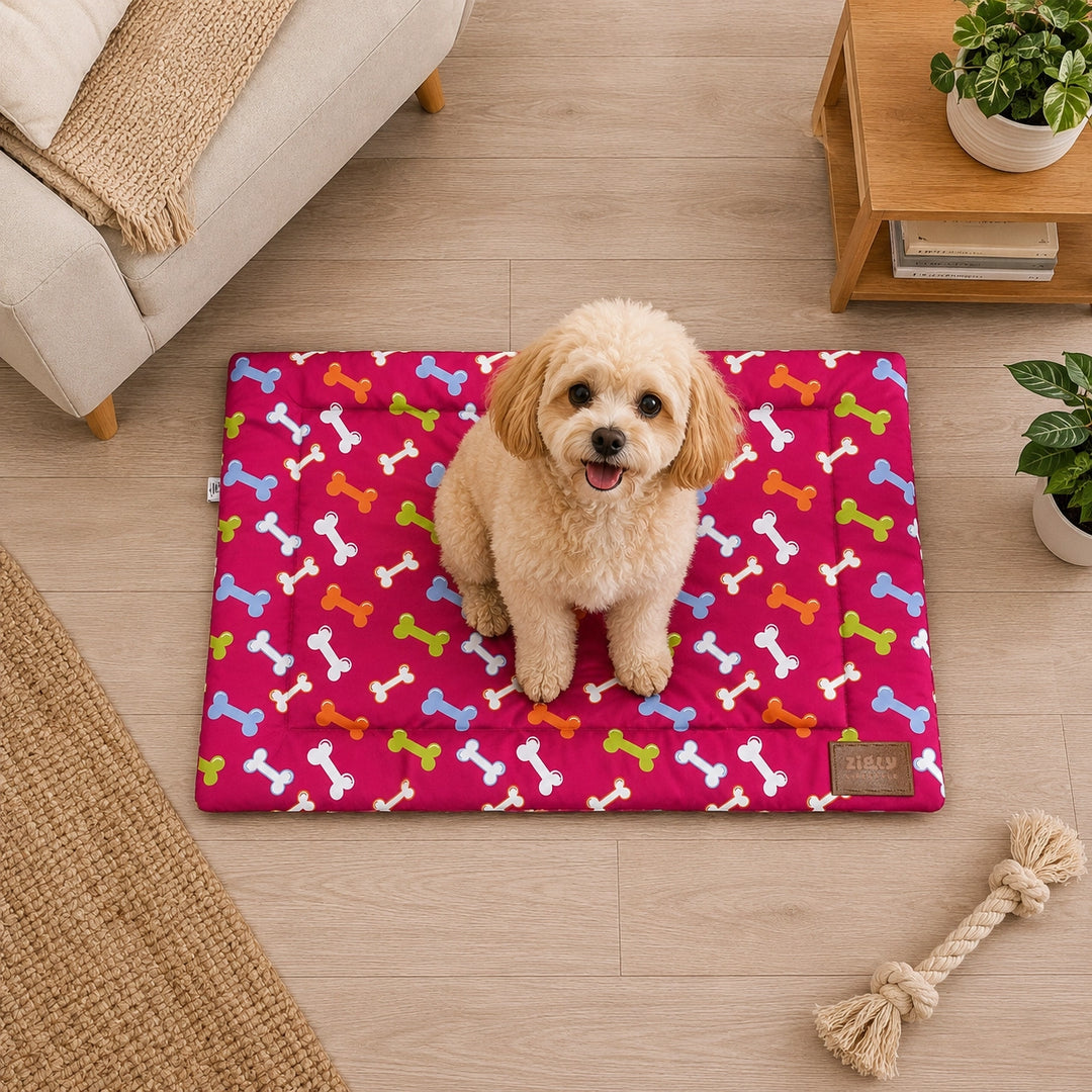 ZL Play Print Pet Mat