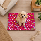 ZL Play Print Pet Mat