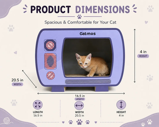 Catmos Netflix & Purr Cat Scratcher with Free Catnip
