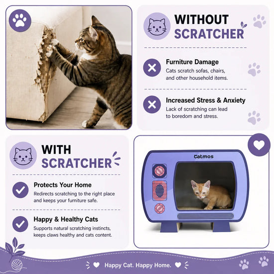 Catmos Netflix & Purr Cat Scratcher with Free Catnip