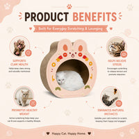 Catmos DIY Paw Palace Cat Scratcher with Free Catnip