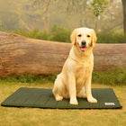 Golden retriever sitting on green outdoor dog mat by Zigly with log and trees in background
