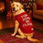 Yellow labrador wearing red zigly sweater with Top Dog In Class text by Christmas tree