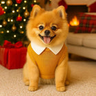 Zigly smiling Pomeranian dog in mustard sweater with white collar by Christmas tree and fireplace