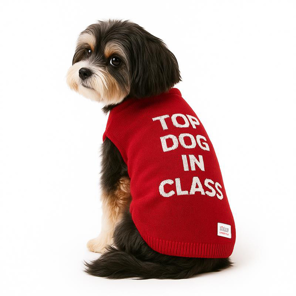 ZL Varsity Top Pup Scholar Dog Sweater-Red
