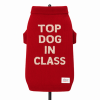 ZL Varsity Top Pup Scholar Dog Sweater-Red