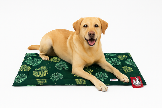 ZL Jungle Retreat Pet Mat