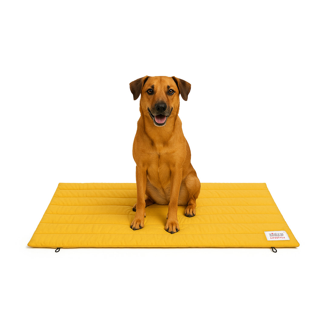 ZL Golden Hour Nest Mat