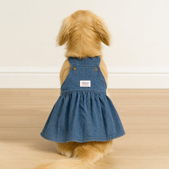 ZL Denim Frock for Dogs
