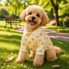 ZL Tropical Farm Pumpkin Dog Shirt