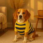 ZL Bumble Stripe Dog Sweatshirt