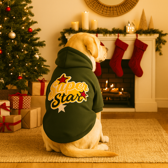 ZL Super Star Dog Hoodie