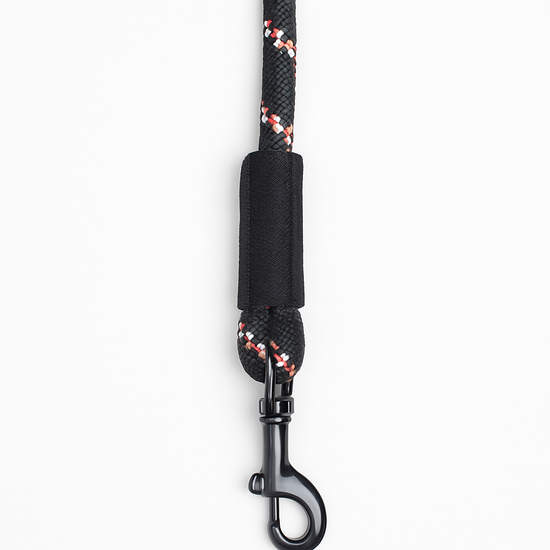 Zigly black braided rope leash with metal clip on white background