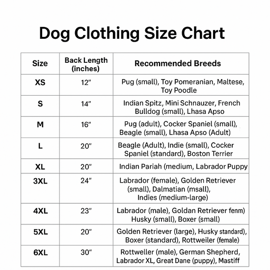 ZL Super Star Dog Hoodie