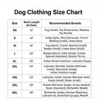 ZL Super Star Dog Hoodie