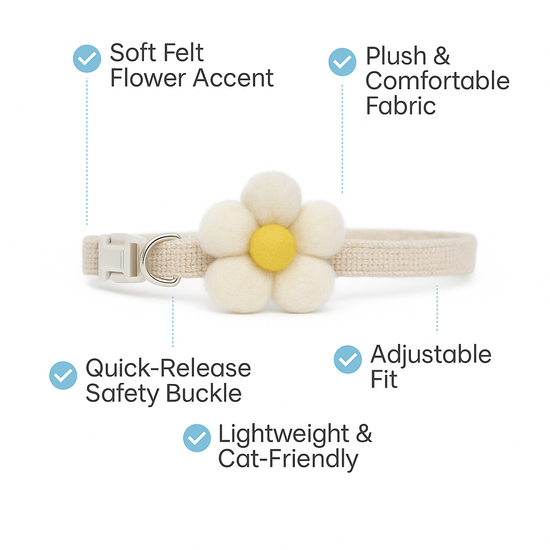 ZL Blossom Bloom Vanilla Cat Collar