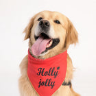 Golden retriever dog wearing a red bandana with 'Holly jolly' text and zigly design