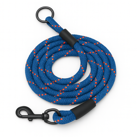 Blue zigly dog leash with orange accents, metal clip and ring on white background