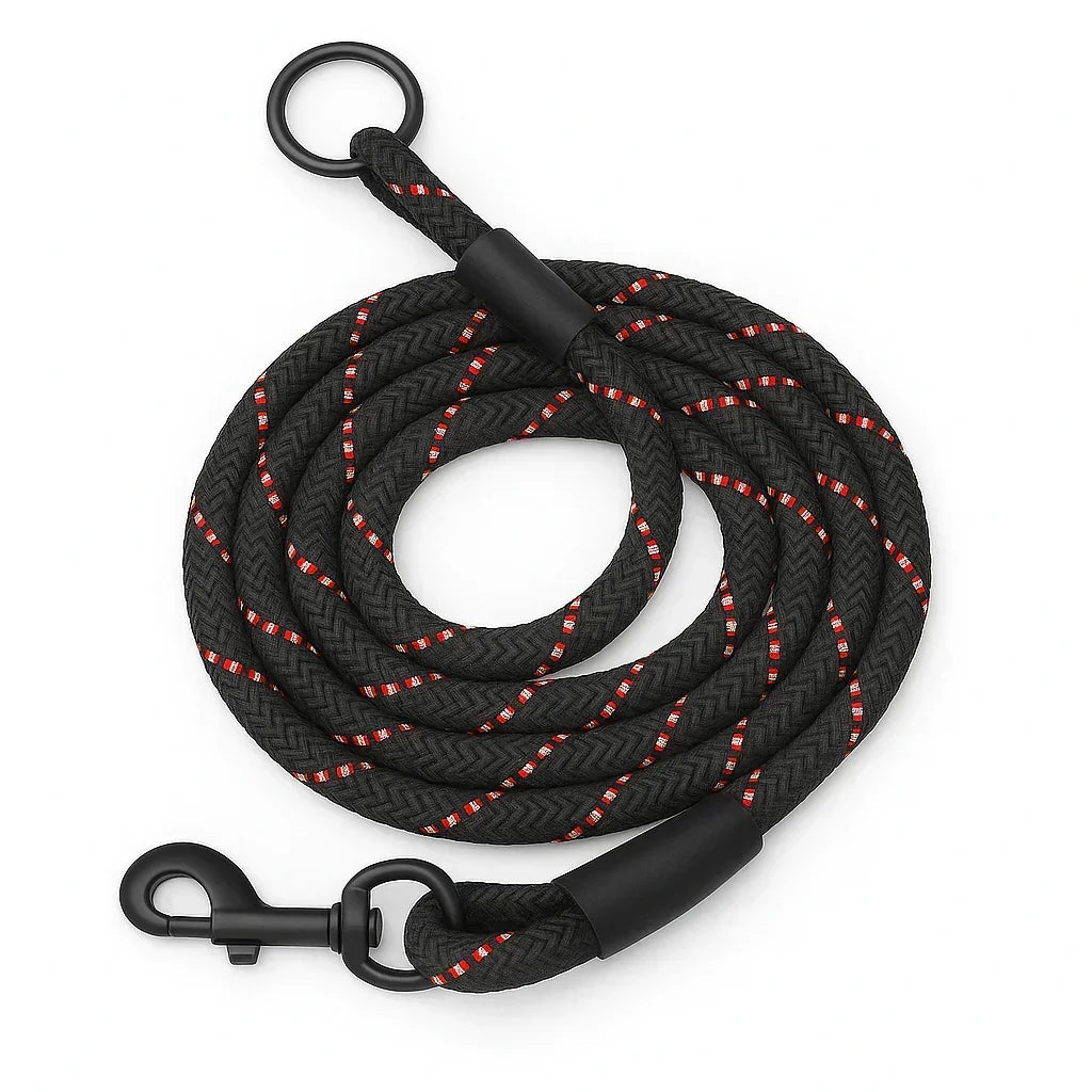 ZL Reflective Rope Dog Leash - Black | Zigly