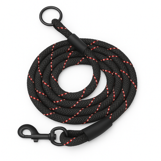 Zigly black braided dog leash with red accents and black metal clip on white background
