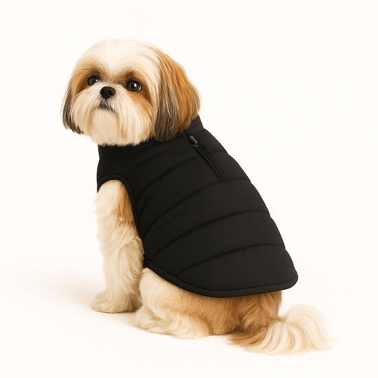 ZL Trail Buddy Dog Jacket - Black