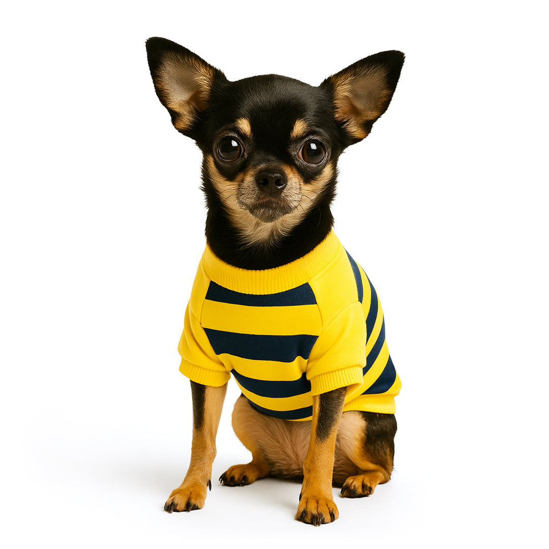 ZL Bumble Stripe Dog Sweatshirt