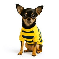 ZL Bumble Stripe Dog Sweatshirt
