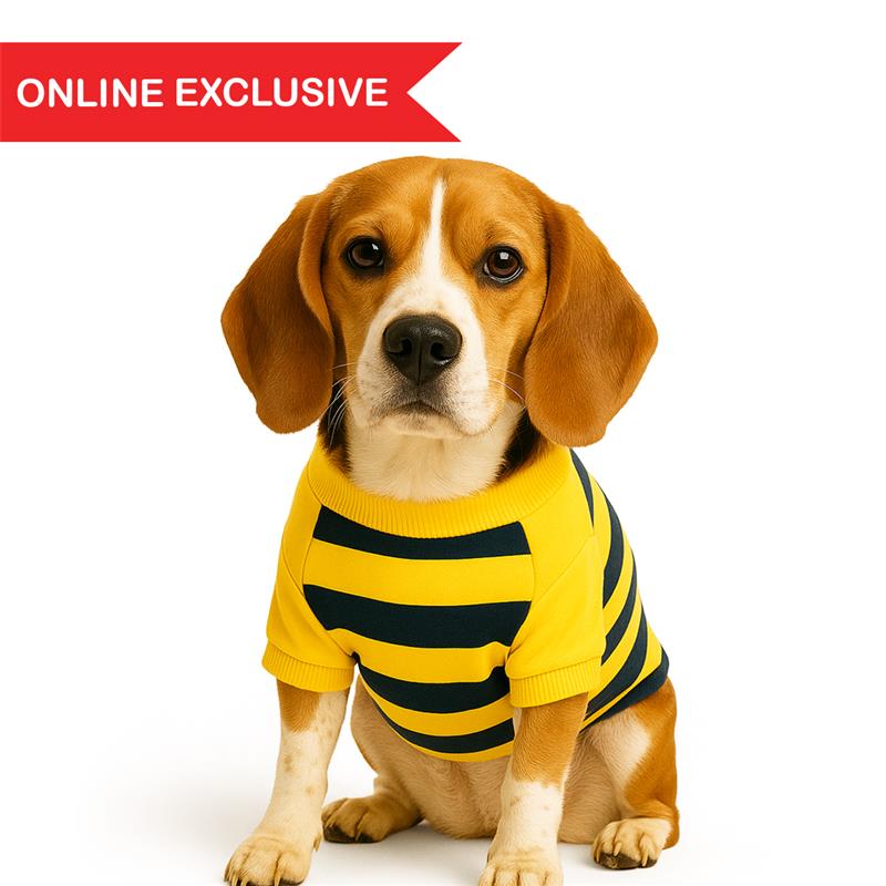 ZL Bumble Stripe Dog Sweatshirt