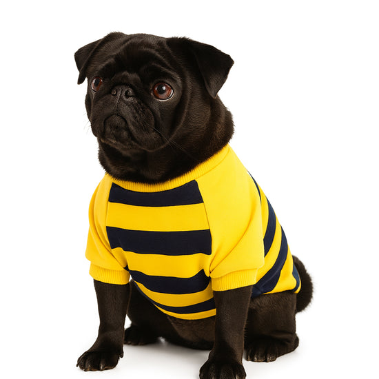 ZL Bumble Stripe Dog Sweatshirt
