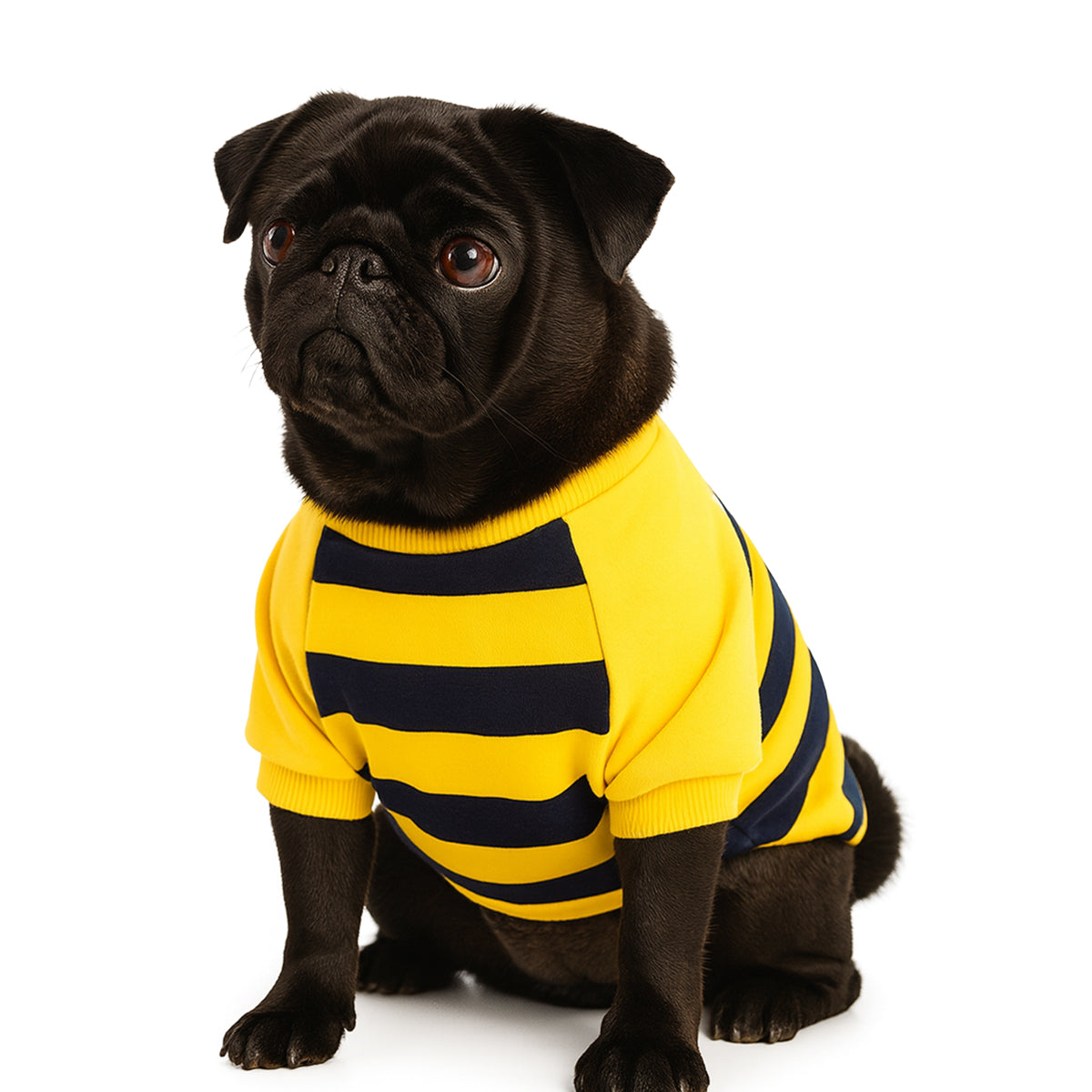 ZL Bumble Stripe Dog Sweatshirt