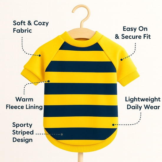 ZL Bumble Stripe Dog Sweatshirt