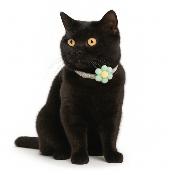 ZL Blossom Bloom Olive Cat Collar