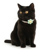 ZL Blossom Bloom Olive Cat Collar