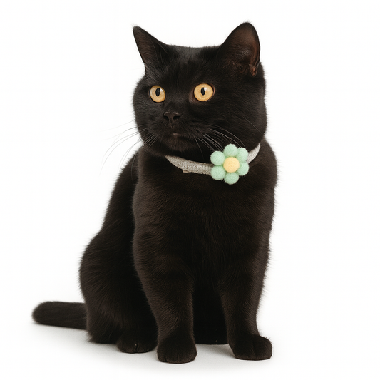 ZL Blossom Bloom Olive Cat Collar